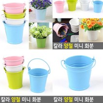 양철화분 블루 소형화분 인테리어화분 옥상텃밭 방울토마토화분 야외화분 미니텃밭 플라스틱화분 집에서상추키우기 빈화분 플랜트박스 상추화분 베란다상추키우기 대형플라스틱화분 이쁜화분 베란다텃밭 텃밭상자 귀여운화분 베란다정원 미니토분 블루베리화분 분재화분 프리지아화분 작은화분 실