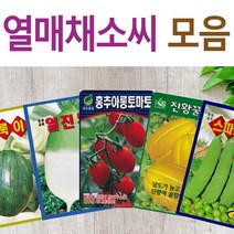 살아있는 씨앗 모음 열매씨앗 여주 우엉 박 토마토 참외 수박 오이 호박 가지 옥수수 깨 콩 팥 수수 밀 배추 양배추 열무 알타리 당근 무 비트 콜라비 고추 파프리카 종자, N- 청화무 x 1개, 1개