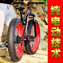 가변 속도 산악 전동 자전거 리튬 배터리 남성 여성 전기 자전거 전동 킥보드 배달 운동 패달 겸용, 48V 45km주행1