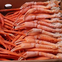 속초 붉은대게 5kg 2L/홍게/홍게섹션/홍게라면/가족모임/집들이, 1개