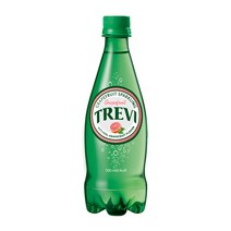 칠성 트레비 자몽 500ml x 24개, 단품