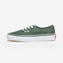 반스 어센틱 COLOR THEORY DUCK GREEN