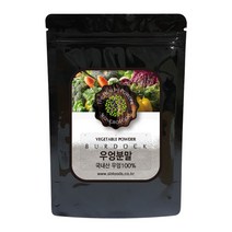 성보식품 국내산 우엉 분말 600g, 1개