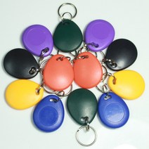 Keyfobs ID 카드 읽기 전용 액세스 제어 RFID 100 125khz TK4100 키 Fobs 토큰 태그 체인, 02 빨간