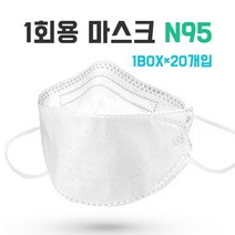 해외직구 KN95 마스크 성인용 안전보호마스크 20매, 20개입, 2박스