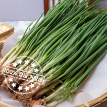 경남거창 당일 수확 발송 더욱 신선한 흙쪽파, 특품 5kg
