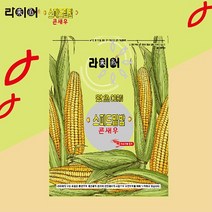 FL/라이어 스피드 밑밥 콘새우 (낚시집어제)