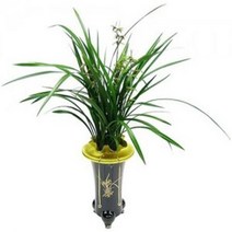 한란4 동양란 동양난 서양란 서양난 승진, 선택안함