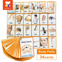 26 카테고리 760 어린이 카드 어린이 영어 음식 형용사 단어 플래시 카드 조기 교육 장난감 | 카드 장난감 | 카드, 바디 부품