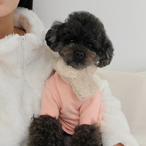 페시얌 따뜻한 보아털 강아지 목도리 악세사리 2oclor, 1개, 아이보리-S
