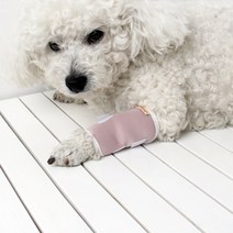 애완용품 슬개골탈구 장애견 다리밴드 휠체어 맞춤 제작하다 강아지 무릎보호대 대형견아웃도어, 20 K017그린, 03 L대형