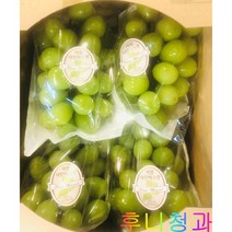 [후니청과] 2kg 4kg 달달 아삭 샤인머스켓, 2kg(3-4송이), 1개