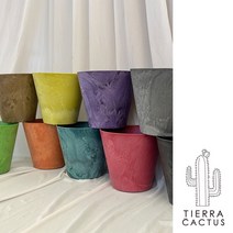 미세먼지 제거에 탁월한 공기정화식물 휘카스 움베르타 중형 - 옮겨심기용 포트 저면관수 화분 9color, 네온그린