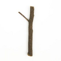자연나무 줄기 Y자 10cm