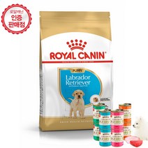 로얄캐닌 독 라브라도 리트리버 퍼피 3Kg+애견습식캔 400g