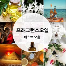 프래그런스 오일 디퓨저 캔들 석고방향제 향오일 100ml, 꽃향_가든스위피아