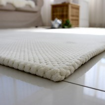 모노 극세사 단모 러그 100x150 워셔블 카페트