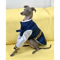 이탈리안 그레이하운드 한복 설 추석 명절 전통 소품, 주황-연노랑