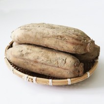 [후니팜] 후니팜 햇 연근 국산연근 흙연근 특품 1kg 3kg 5kg 10kg