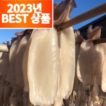 농수산특별시 국내산 구룡포 피데기 반건조 오징어, 5미 1팩, 350g