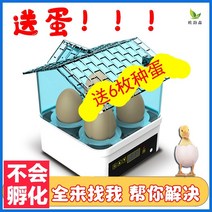 병아리부화기 계란 달걀 알 인큐베이터 소형 가정용 유형 어린이 미니 병아리 오리 거위 루틴 닭고기 인큐베이터 자동 인큐베이터 지능형, 계란 배달 없이 수동으로 뒤집어야 하는 반자동 계