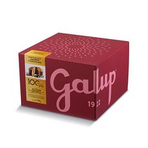 Galup 갈룹 체리 초콜릿 파네토네 이탈리안 디저트 크리스마스빵 750g 간식 아침대용, 1개