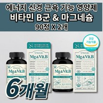 비타민 B12 (바이타민 B12) 말초신경 조혈 입병 비타민 비군 B군 신경 근육 안정제 만성 피로 과로 기력 회복 회복제 고함량 마그네슘 비타민B 1 2 6 12 영양제 90정, 2개