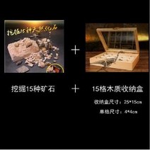 암모나이트화석 발굴키트 유물 발굴 화석 키트 고대유물 세트, 15종 화석 + 나무보관함