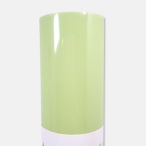 [이스프리 열전사지] PU 열 전사지 30.5cm x 61cm 실루엣 카메오포트레이트 호환, HT028 프레시 민트