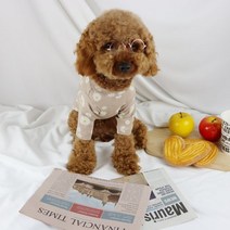 베들링턴테리어 빠삐용강아지 삽살개 파티푸들 털안빠지는강아지 소형견종류애 잉글리쉬불독 포메라니안 베들링턴테리어 강아지 옷 블랙라벨 할미내복, 겨자