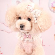 팝앤퍼피 셔링레이스케이프, L, 핑크