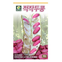 적작두콩 씨앗 30립 OK, 8개