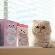 아트박스/캣츠모리 캣츠모리 와이어츄 닭고기맛 고양이껌 7p, 옵션선택:본품