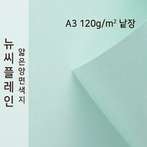 뉴씨플레인 종이문화 얇은 양면색지 120g A3 낱장 1매 No.18 연옥색, 1장