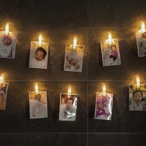 LED 집게가랜드 2m 10P 웜 [점멸형]