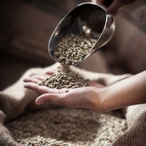 산미없는 블루마운틴 스폐셜티 블랜딩 킹스브라운MR 원두 당일로스팅 맛있는커피, 홀빈(분쇄X), 킹스브라운MR 1kg, 500g