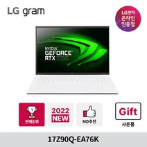LG전자 2022 그램, 스노우 화이트, 1024GB, 코어i7, 17Z90Q-EA76K, 16GB, WIN11 Home