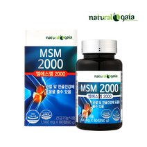 MSM 2000 엠에스엠 관절건강에 도움