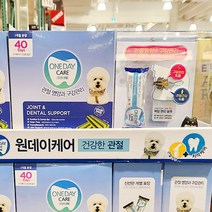 원데이케어 원데이케어 애견관절_치석케어 15g X 40개, 단품, 단품