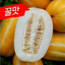 성주참외 정품 2kg 4kg 꿀 참외 가정용 선물용 꼬마참외 로얄과, 한입과