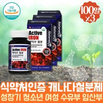 대용량 약 300일분 철분제 주니어 청소년기 키즈 비타민 초등학생 중학생 헴철 햄철 키즈 온가족 영양제 철분 아이 주니어 온가족 철분흡수 헤모글로빈 철분부족증상 가용성 미네랄