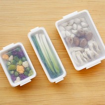 올유리빙 밀폐 용기 냉동실 냉장고 정리 보관 플라스틱 직사각 바트 밧드 야채 채소 김밥 납작 소분, 대-2개