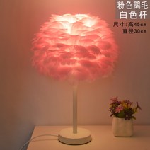 고급 인플루언서 깃털 장식 스탠드 조명 침실 거실, 핑크구스-화이트스틱-LED + 원격제어