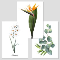 [아트톡] S113. 초록식물3 - 인테리어 폼보드 3종 세트액자 (A2 A3 A4 사이즈 )