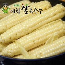 생물 햇괴산대학찰옥수수_9월5일전후수확/냉동 2가지, 30개, 선별한 생물옥수수_선물용특품