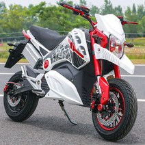 M5 전기 오토바이 AK 고속 소형 오토바이 크로스컨트리 스포츠카 모터사이클 바이크, 72V 이상, 72V20A 패키지 2