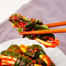 농가살리기 파김치 국내산 전라도 김치 양념 2kg 4kg, 전라도 파김치 4kg