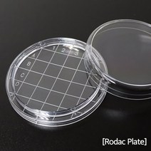 세균 평판배양 미생물 검사 눈금 페트리 접시 샬레 10개 플레이트 배지