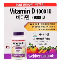 웨버 내추럴 비타민D 1000IU 250캡슐 코스트코 비타민D 웨버비타민 웨버내추럴 웨버비타민D, 상세페이지 참조, 상세페이지 참조