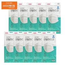 다산메디칼 프리티 덴탈마스크10매입 멜트브라운3중구조 흰색 대형 10개